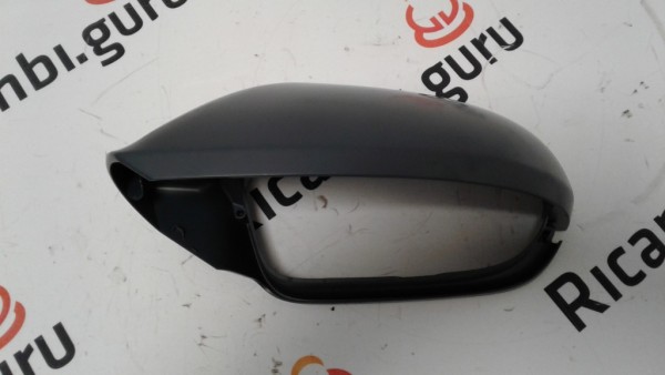 Calotta retrovisore Sinistra Audi A6