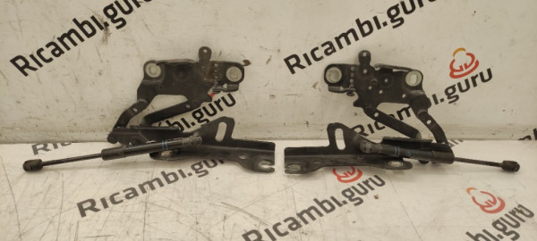 Cerniere cofano Bmw serie 1