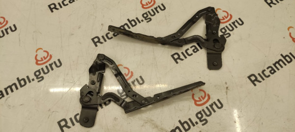 Cerniere cofano Ford ecosport