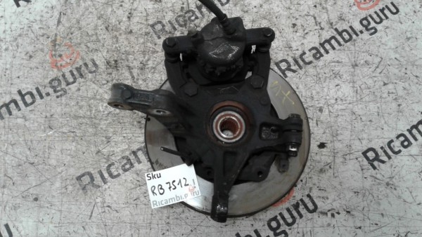 Fusello Anteriore Sinistro Renault clio