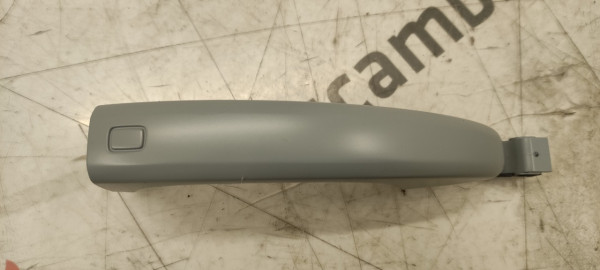 Maniglia esterna Anteriore Sinistra Audi A1