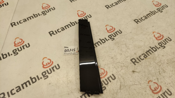 Modanatura Porta Posteriore Destra Volkswagen Passat berlina