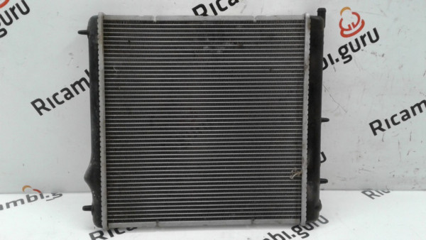 Radiatore acqua Citroen C3