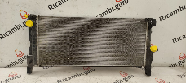 Radiatore acqua Mini countryman