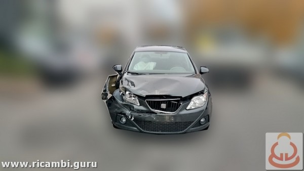 Seat Ibiza del 2008