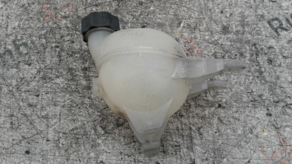 Vaschetta liquido radiatore Peugeot 1007