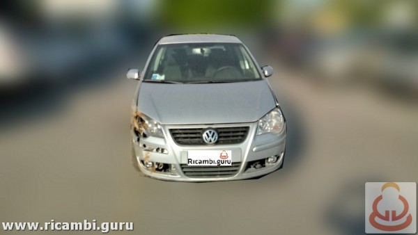 Volkswagen Polo del 2007