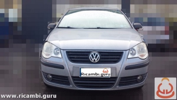 Volkswagen Polo del 2007