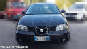 Seat Ibiza del 2007