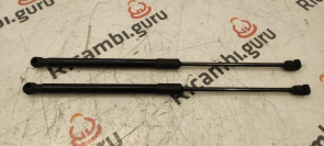 Pistoni Portellone Audi a4 avant