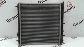 Radiatore acqua Citroen C3