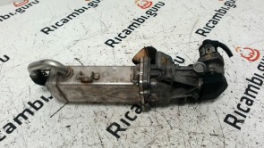 Radiatore Ricircolo gas di scarico Volkswagen Golf 6