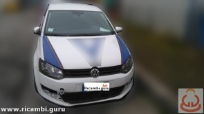 Volkswagen Polo del 2012