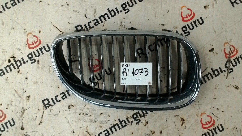 Griglia Destra Bmw serie 5