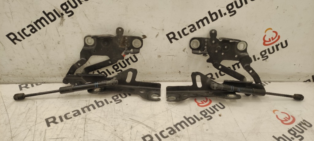Cerniere cofano Bmw serie 1