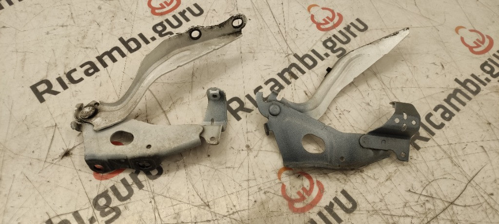 Cerniere cofano Lexus ux