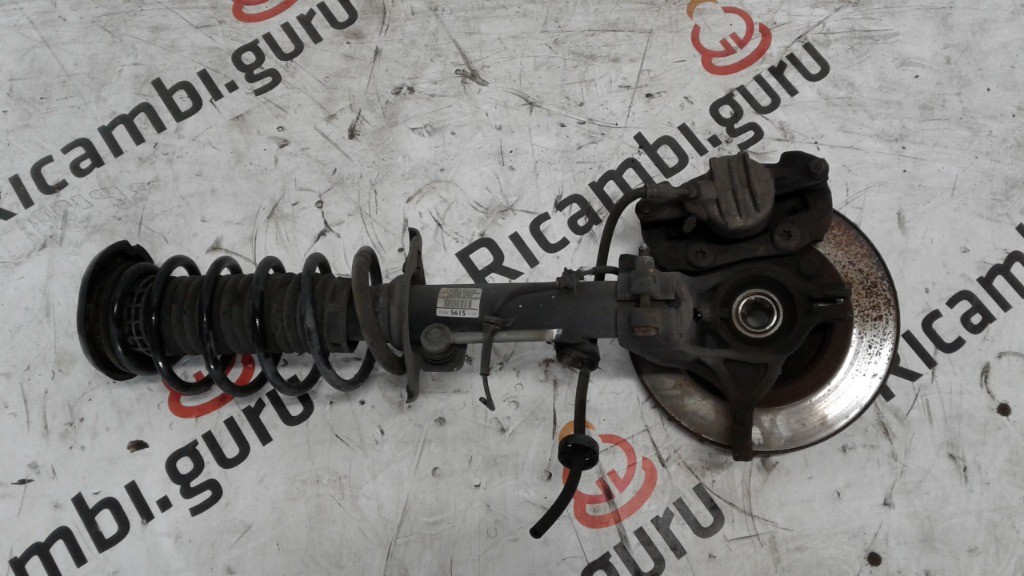 Fusello con Ammortizzatore Anteriore Sinistro Peugeot 207 plus