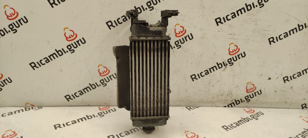 Intercooler Ford ecosport