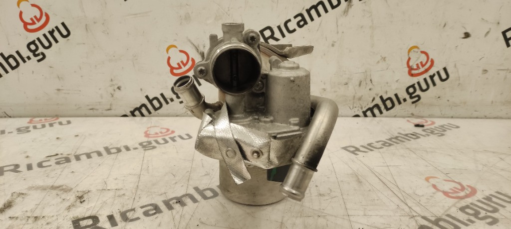 Radiatore EGR Audi q2