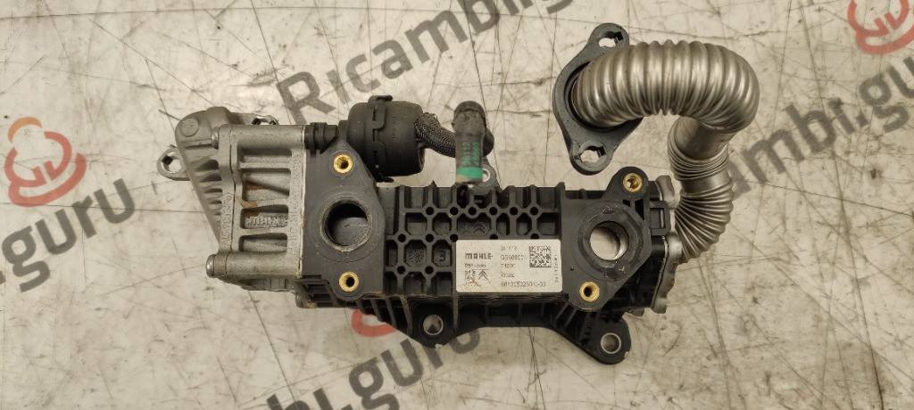 Radiatore EGR Peugeot 308