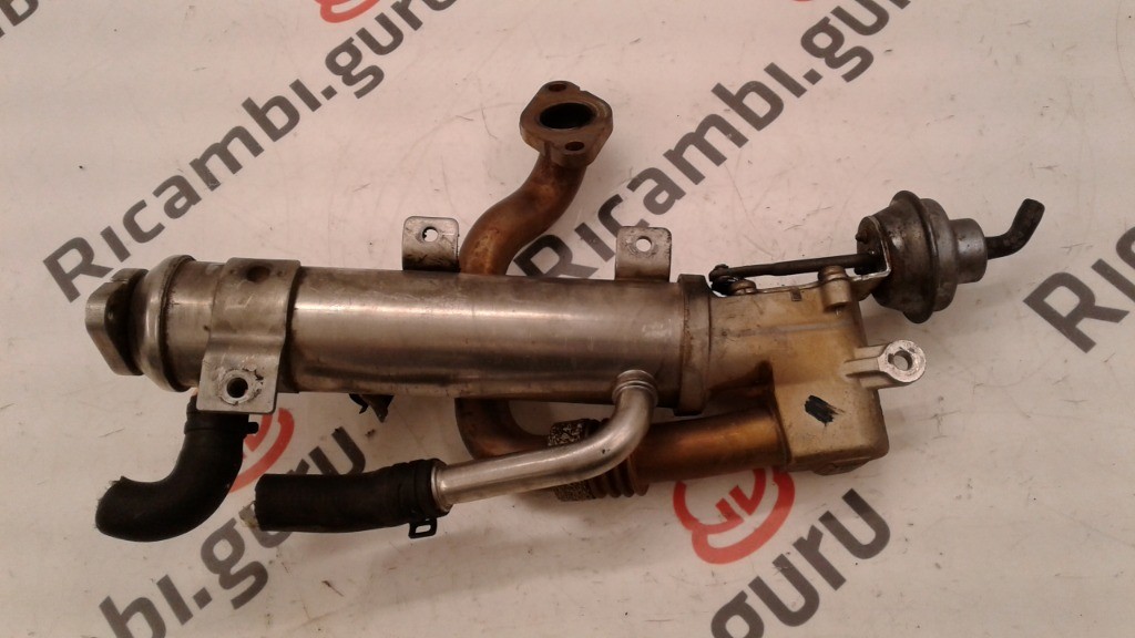 Radiatore Ricircolo Gas di Scarico Audi a4