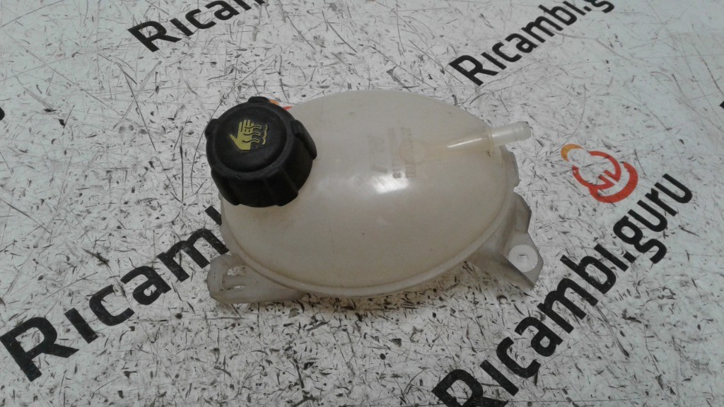 Vaschetta liquido radiatore Renault captur