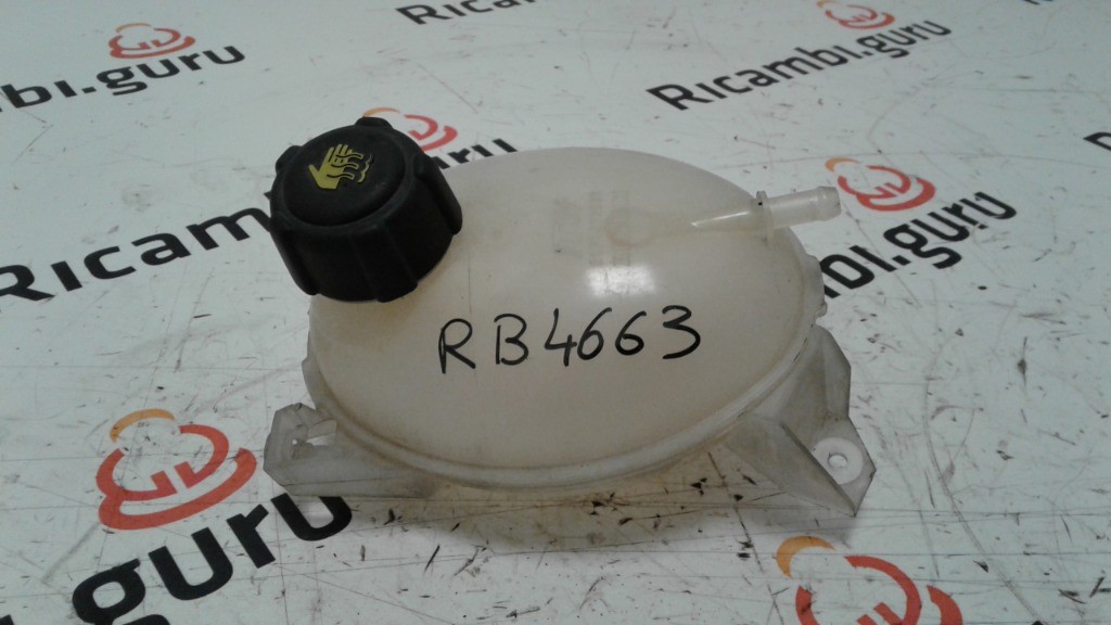 Vaschetta liquido radiatore Renault clio